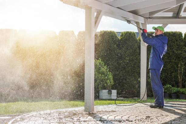 Trusted Caledonia, MN Pressure Washing Services Experts